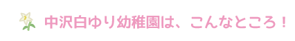 中沢白ゆり幼稚園はこんなところ